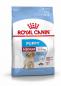 Preview: ROYAL CANIN MEDIUM Puppy Trockenfutter für Welpen mittelgroßer Hunderassen
