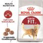 Preview: ROYAL CANIN FIT Trockenfutter für aktive Katzen