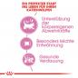 Preview: ROYAL CANIN MOTHER & BABYCAT Katzenfutter für tragende Katzen und Kitten