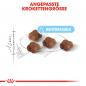 Preview: ROYAL CANIN MOTHER & BABYCAT Katzenfutter für tragende Katzen und Kitten