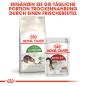 Preview: ROYAL CANIN OUTDOOR Katzenfutter trocken für Freigänger