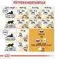 Preview: ROYAL CANIN Maine Coon Adult Katzenfutter trocken