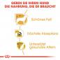 Preview: ROYAL CANIN Yorkshire Terrier Adult Hundefutter trocken