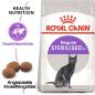 Preview: ROYAL CANIN STERILISED Trockenfutter für kastrierte Katzen