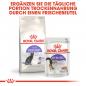 Preview: ROYAL CANIN STERILISED Trockenfutter für kastrierte Katzen