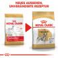 Preview: ROYAL CANIN Dalmatian Adult Hundefutter trocken für Dalmatiner
