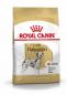 Preview: ROYAL CANIN Dalmatian Adult Hundefutter trocken für Dalmatiner