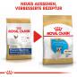 Preview: ROYAL CANIN French Bulldog Puppy Welpenfutter trocken für Französische Bulldoggen