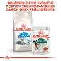 Preview: ROYAL CANIN INDOOR 7+ Trockenfutter für ältere Wohnungskatzen