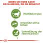 Preview: ROYAL CANIN OUTDOOR 7+ Katzenfutter trocken für ältere Freigänger