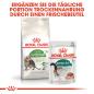 Preview: ROYAL CANIN OUTDOOR 7+ Katzenfutter trocken für ältere Freigänger