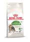 Preview: ROYAL CANIN OUTDOOR 7+ Katzenfutter trocken für ältere Freigänger