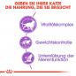 Preview: Royal Canin Sterilised 7+