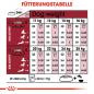 Preview: ROYAL CANIN MEDIUM Ageing 10+ Trockenfutter für ältere mittelgroße Hunde
