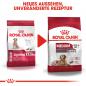 Preview: ROYAL CANIN MEDIUM Ageing 10+ Trockenfutter für ältere mittelgroße Hunde