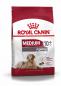 Preview: ROYAL CANIN MEDIUM Ageing 10+ Trockenfutter für ältere mittelgroße Hunde