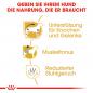 Preview: ROYAL CANIN Dachshund Adult Hundefutter trocken für Dackel