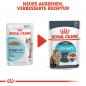 Preview: ROYAL CANIN Urinary Care Katzenfutter nass für gesunde Harnwege