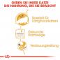 Preview: Royal Canin Breed Persian
