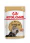 Preview: Royal Canin Breed Persian