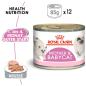 Preview: Royal Canin Mother & Babycat