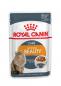 Preview: ROYAL CANIN Intense Beauty Katzenfutter nass in Soße für schönes Fell