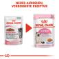 Preview: Royal Canin Kitten in Gelee