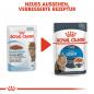 Preview: Royal Canin LIGHT WEIGHT CARE in Gelee