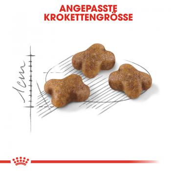 ROYAL CANIN KITTEN Trockenfutter für Kätzchen
