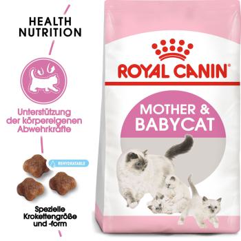 ROYAL CANIN MOTHER & BABYCAT Katzenfutter für tragende Katzen und Kitten