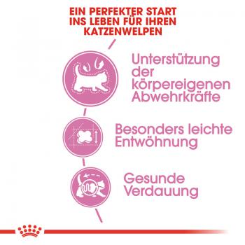 ROYAL CANIN MOTHER & BABYCAT Katzenfutter für tragende Katzen und Kitten
