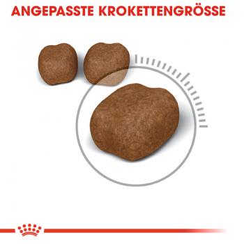 ROYAL CANIN Oral Care Katzenfutter trocken für gesunde Zähne