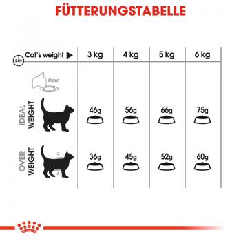ROYAL CANIN Oral Care Katzenfutter trocken für gesunde Zähne