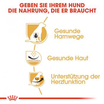 ROYAL CANIN Dalmatian Adult Hundefutter trocken für Dalmatiner