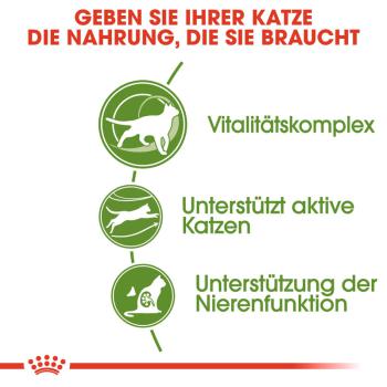 ROYAL CANIN OUTDOOR 7+ Katzenfutter trocken für ältere Freigänger
