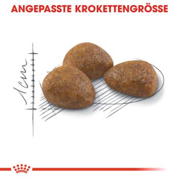 ROYAL CANIN OUTDOOR 7+ Katzenfutter trocken für ältere Freigänger