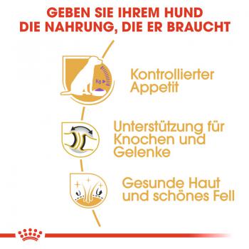 ROYAL CANIN Labrador Retriever Adult Sterilised Trockenfutter für kastrierte Hunde
