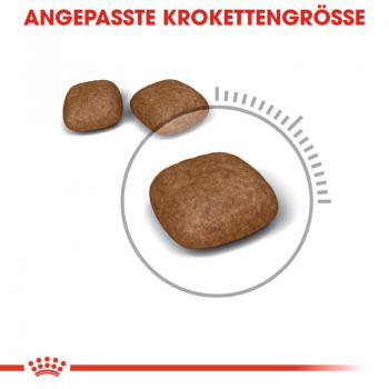 ROYAL CANIN Urinary Care Katzenfutter trocken für gesunde Harnwege