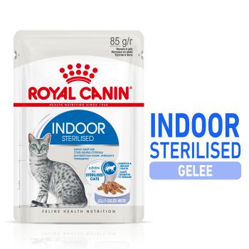 ROYAL CANIN INDOOR Sterilised in Gelee