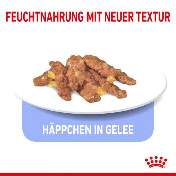 ROYAL CANIN INDOOR Sterilised in Gelee