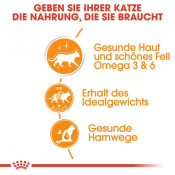 ROYAL CANIN Intense Beauty Katzenfutter nass in Soße für schönes Fell