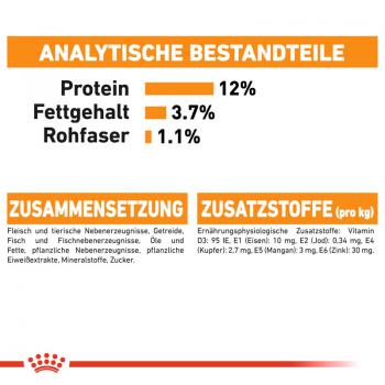ROYAL CANIN Intense Beauty Katzenfutter nass in Soße für schönes Fell