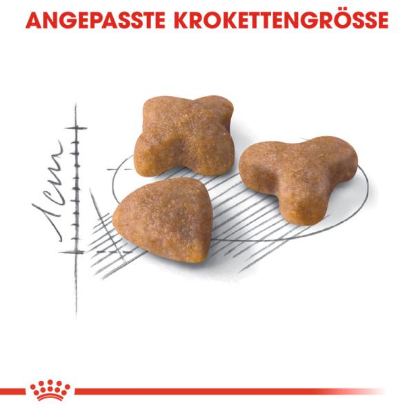 ROYAL CANIN SENSIBLE Trockenfutter für sensible Katzen