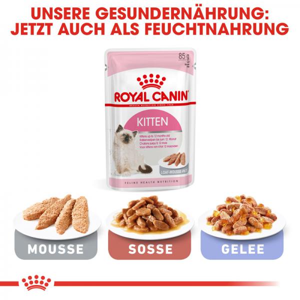 ROYAL CANIN KITTEN Trockenfutter für Kätzchen