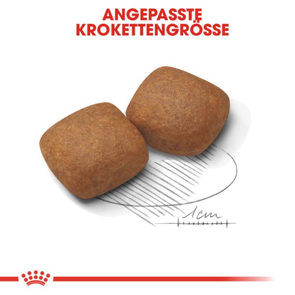 ROYAL CANIN GIANT Junior Welpenfutter trocken für sehr große Hunde