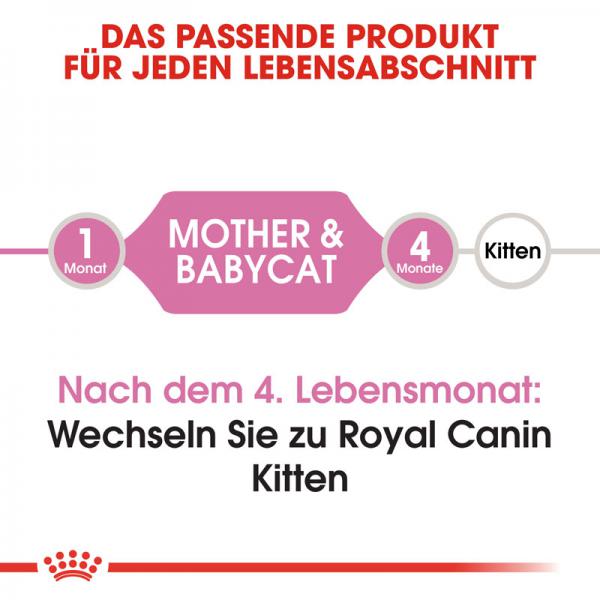 ROYAL CANIN MOTHER & BABYCAT Katzenfutter für tragende Katzen und Kitten