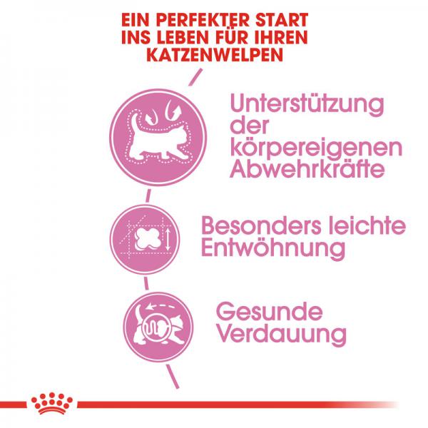 ROYAL CANIN MOTHER & BABYCAT Katzenfutter für tragende Katzen und Kitten