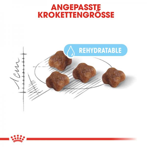 ROYAL CANIN MOTHER & BABYCAT Katzenfutter für tragende Katzen und Kitten