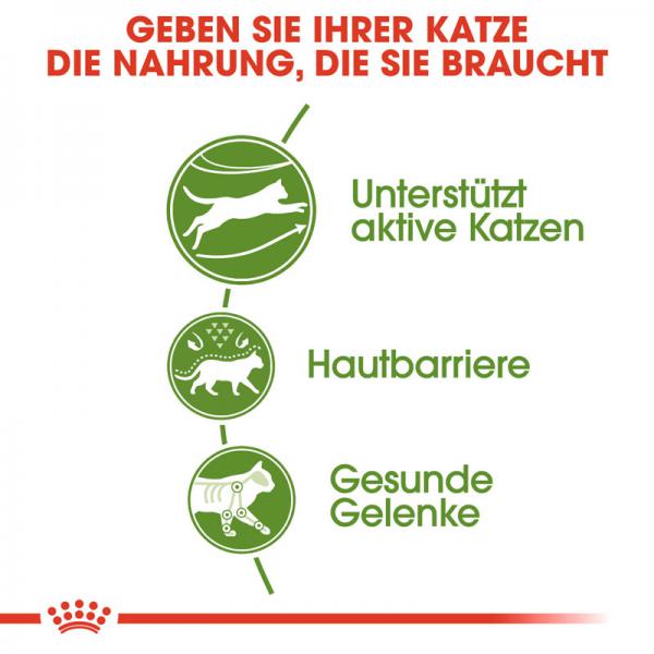 ROYAL CANIN OUTDOOR Katzenfutter trocken für Freigänger