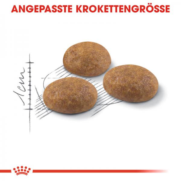 ROYAL CANIN OUTDOOR Katzenfutter trocken für Freigänger
